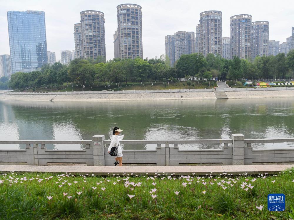 大富豪网页游戏